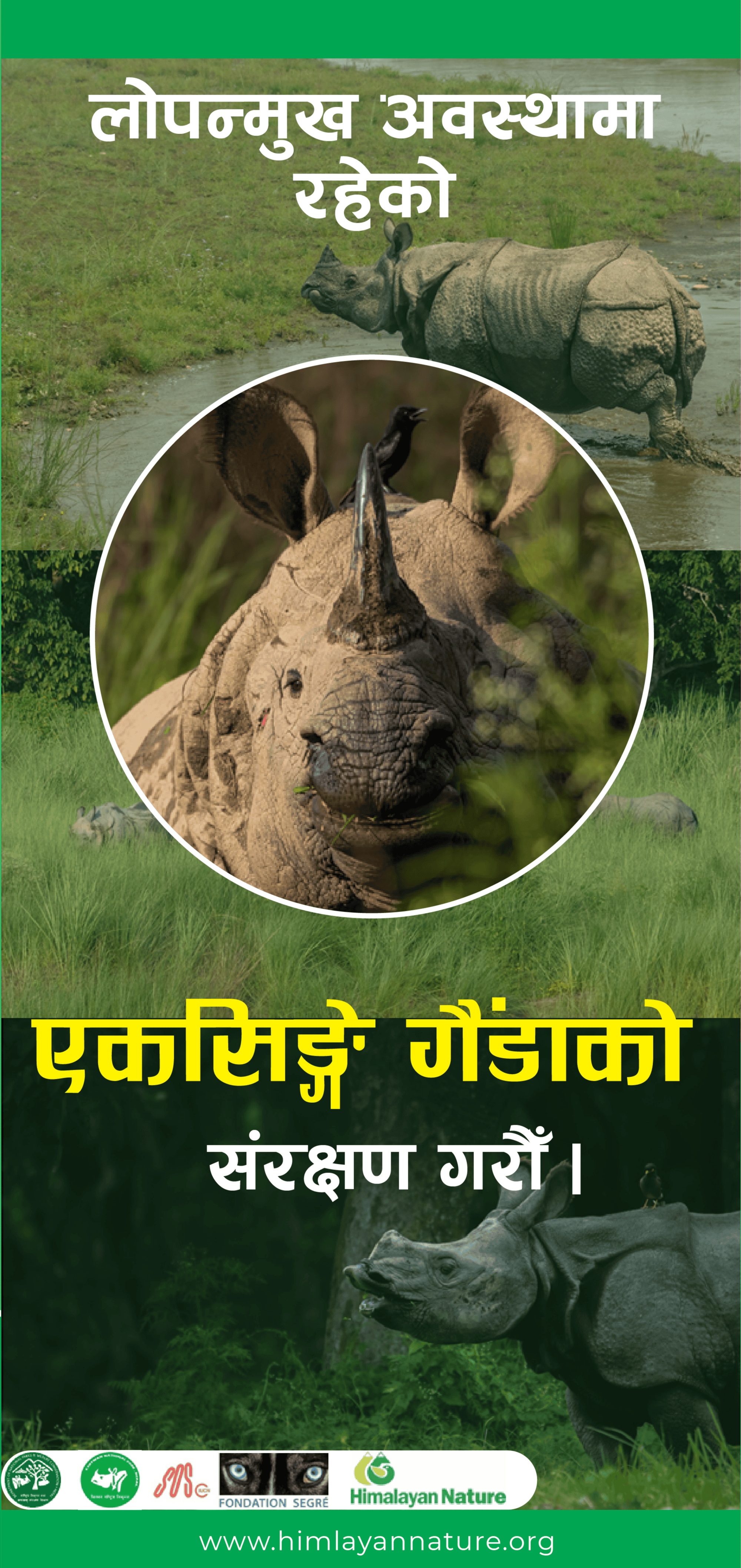 Rhino Conservation-IUCN Fondation Segre Project