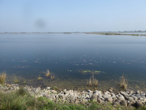 Jagdishpur Reservoir 2.jpeg
