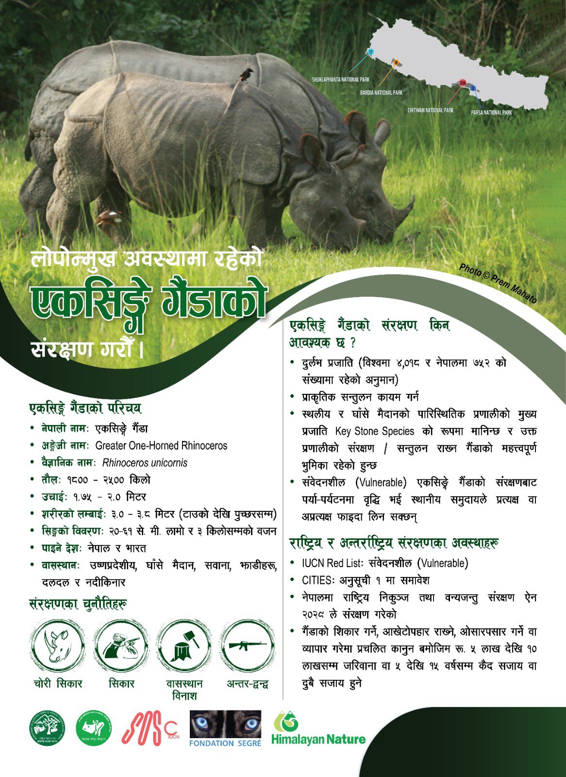 One-Horned Rhinoceros
