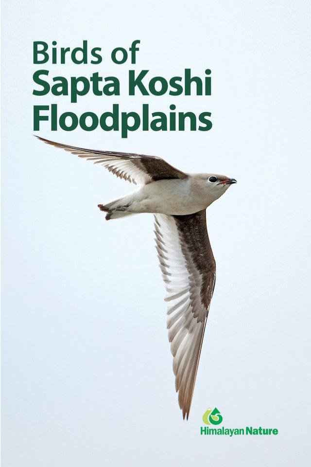 Birds of Sapta Koshi Flood Plain