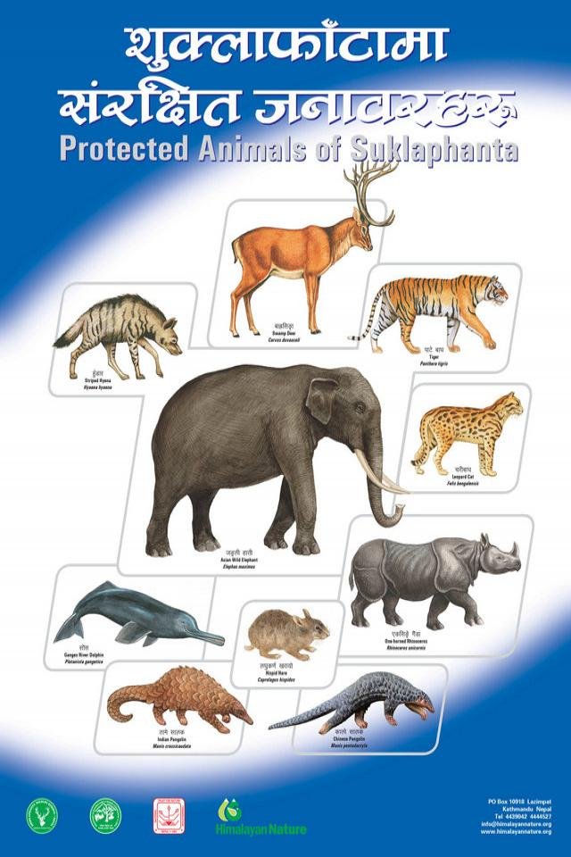 Protected Animals of Shuklaphanta